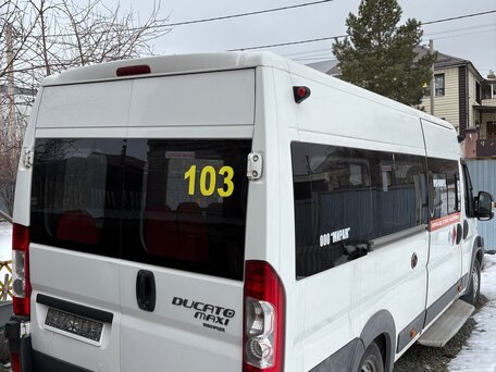 2012 Fiat Professional Ducato, белый, 449999 рублей, вид 5