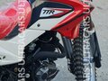 2026 Irbis TTR 250, красный, 153900 рублей - вид 8