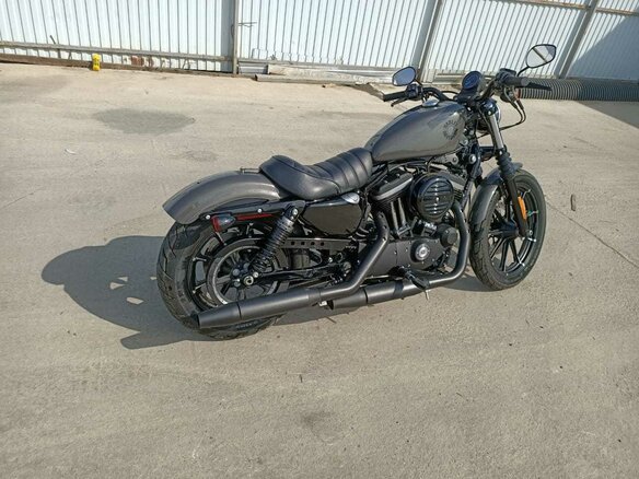 2019 Harley-Davidson Sportster 883, серый