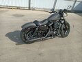 2019 Harley-Davidson Sportster 883, серый