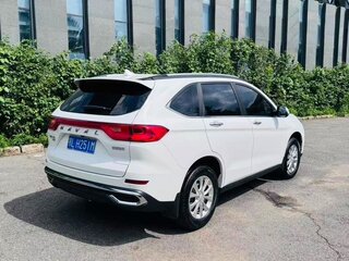 2022 Haval M6 Plus II, белый, 1110000 рублей, вид 4