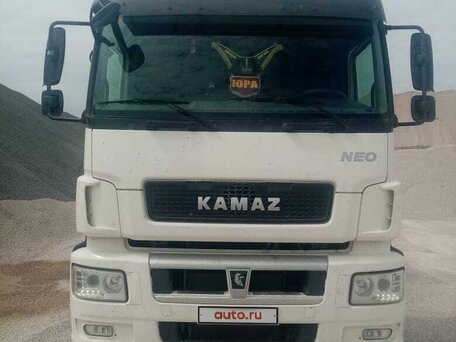 2019 КамАЗ 5490 NEO, белый, 2700000 рублей, вид 1