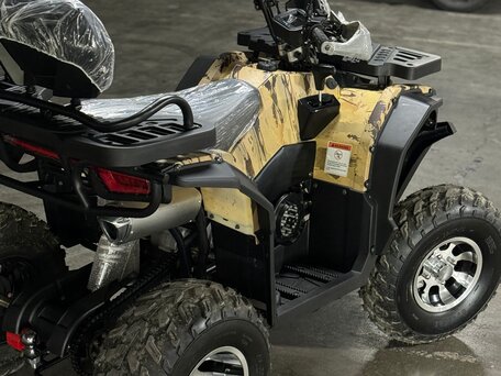 2025 Motoland Wild Track 200 X Pro, чёрный, 230000 рублей, вид 4