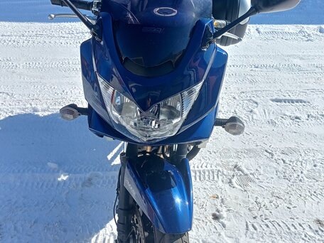 2009 Suzuki Bandit GSF 1250, синий, 580000 рублей, вид 2