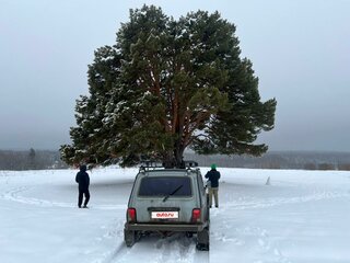 2006 Lada (ВАЗ) 2131 (4x4) 213105 I, серый, 480000 рублей, вид 3