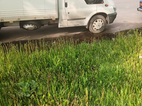 2002 Ford Transit, белый, 950000 рублей, вид 4