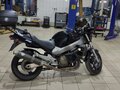 1999 Honda X11, чёрный, 550000 рублей - вид 6