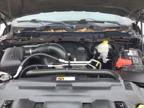 2015 Dodge RAM IV (DS/DJ), серый, 2350000 рублей - вид 11