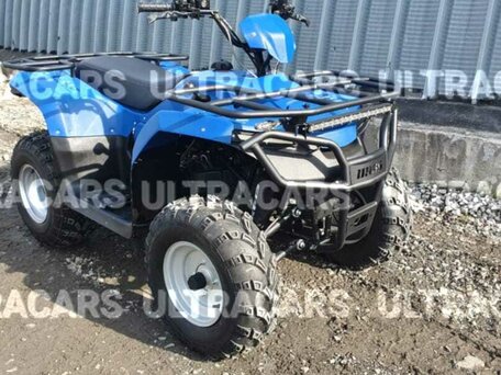 2026 Irbis ATV 250U, синий, 227998 рублей, вид 2