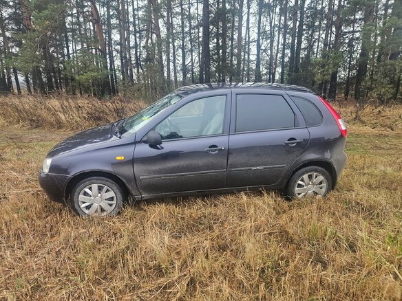 2007 Lada (ВАЗ) Kalina I, синий - вид 16