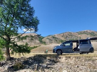 2010 Honda Stepwgn IV, серый, 1350000 рублей, вид 1