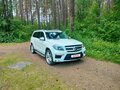 2013 Mercedes-Benz GL-Класс 350 II (X166), белый, 2750000 рублей - вид 6