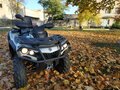 2014 BRP Can-Am Outlander 1000, белый, 1110425 рублей - вид 11