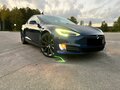 2019 Tesla Model S 75D I Рестайлинг, синий, 2500000 рублей