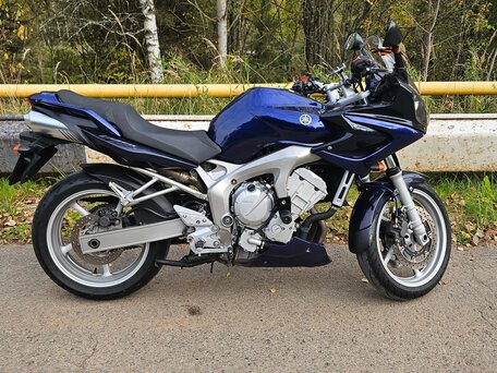 2005 Yamaha FZ6, синий, 500000 рублей, вид 1