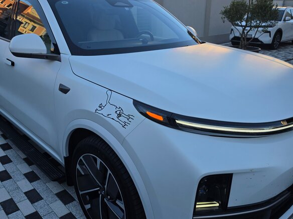 2025 Li Auto (Lixiang) L9 52.3 kWh I Рестайлинг, белый, 8700000 рублей - вид 6