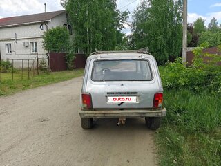 2010 Lada (ВАЗ) 2131 (4x4) Бронто-213102 I, серый, 145000 рублей, вид 3