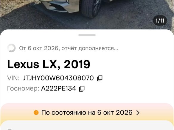 2019 Lexus LX, серый - вид 10