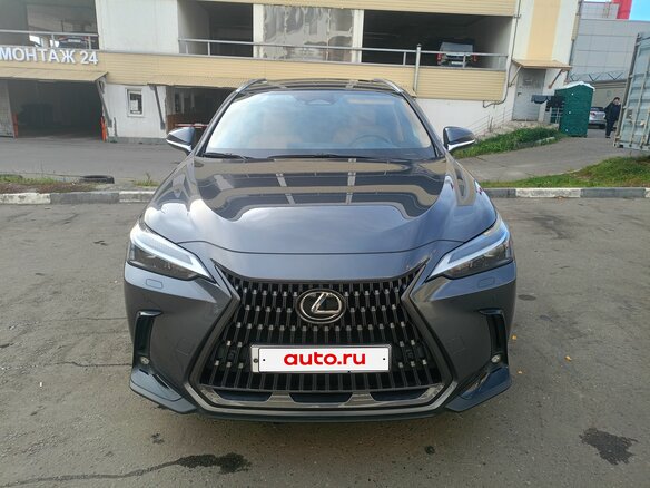 2023 Lexus NX 350h II, серый
