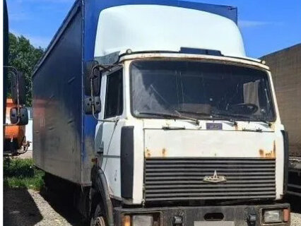 2004 МАЗ 4370, серый, 1025000 рублей, вид 1