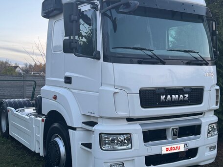 2015 КамАЗ 5490 NEO, белый, 1200000 рублей, вид 3