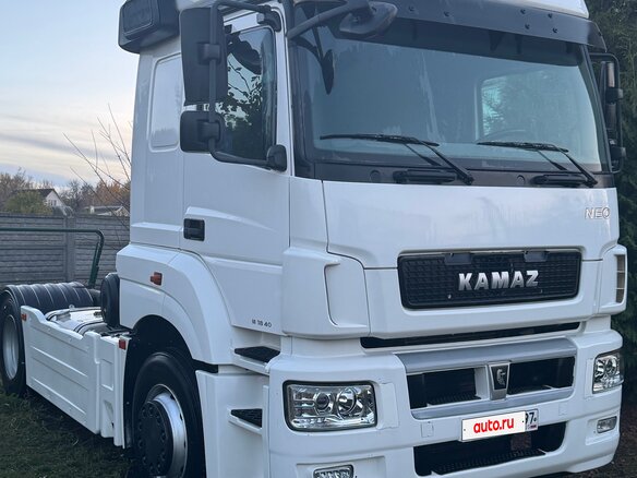 2015 КамАЗ 5490 NEO, белый, 1200000 рублей - вид 2