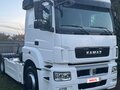 2015 КамАЗ 5490 NEO, белый, 1200000 рублей - вид 2
