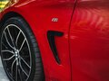 2014 BMW 4 серии 420d xDrive F32/F33/F36, красный - вид 9