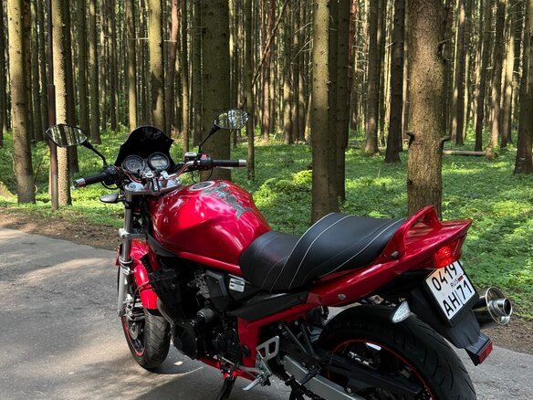 2006 Suzuki Bandit GSF 650, красный, 330000 рублей - вид 3