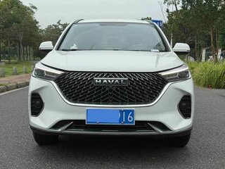 2023 Haval M6 Plus II, белый, 1100000 рублей, вид 1