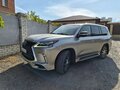 2019 Lexus LX, серый