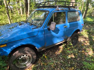 1985 Lada (ВАЗ) 2121 (4x4) I, синий, 100000 рублей, вид 2