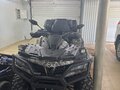 2022 CFMoto CFORCE 1000 EPS LTD, серый, 860000 рублей