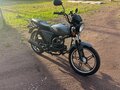 2025 Racer Alpha, серый - вид 1