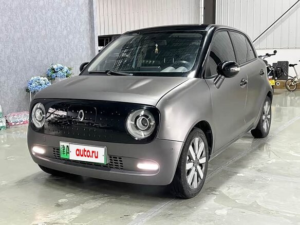 2021 Ora Black Cat 33 kWh, серебристый