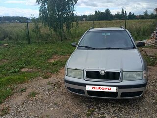 2004 Skoda Octavia I (A4) Рестайлинг, серебристый, 200000 рублей, вид 1