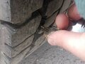 2010 Scania P-series, красный, 2000000 рублей - вид 2