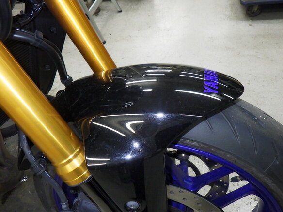 2022 Yamaha MT-09 (FZ-09), серебристый, 1150000 рублей - вид 11