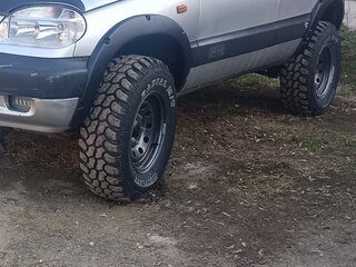 2004 Chevrolet Niva I, серебристый, 750000 рублей, вид 2