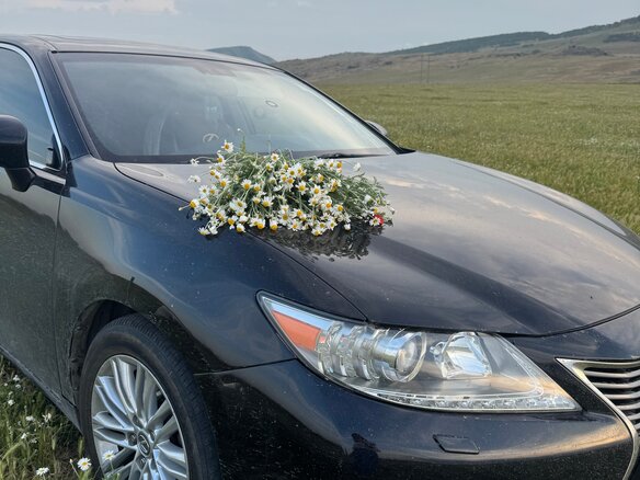 2014 Lexus ES 250 VI, чёрный, 1880000 рублей - вид 13