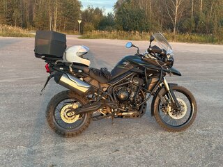 2013 Triumph Tiger 800, зелёный, 700000 рублей, вид 2