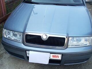2002 Skoda Octavia I (A4) Рестайлинг, серый, 550000 рублей, вид 1