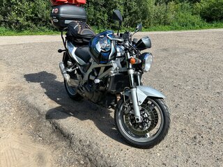 Suzuki SV 1000