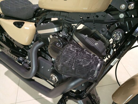 2019 Harley-Davidson Sportster 883, бежевый, 1100000 рублей - вид 10