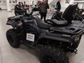 2026 Loncin XWolf 700, серый, 898000 рублей - вид 10