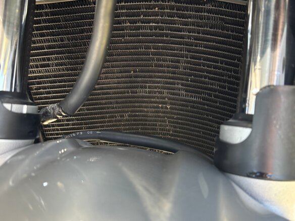 2002 Honda CBR 600F, серебристый, 450000 рублей - вид 6
