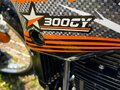2020 Racer RC300B-F Panther PRO, оранжевый, 110000 рублей - вид 6