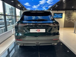 2026 Tenet T9, зелёный, 4299000 рублей, вид 4