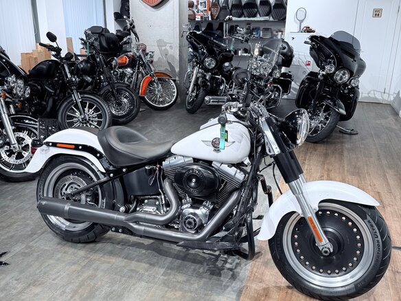 2011 Harley-Davidson Fat Boy, белый, 1399000 рублей - вид 1