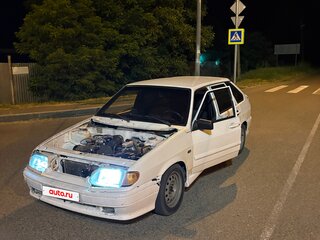 2009 Lada (ВАЗ) 2114, белый, 150000 рублей, вид 1